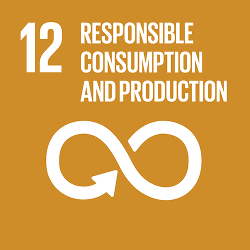 12. Ensure sustainable consumption and production patterns